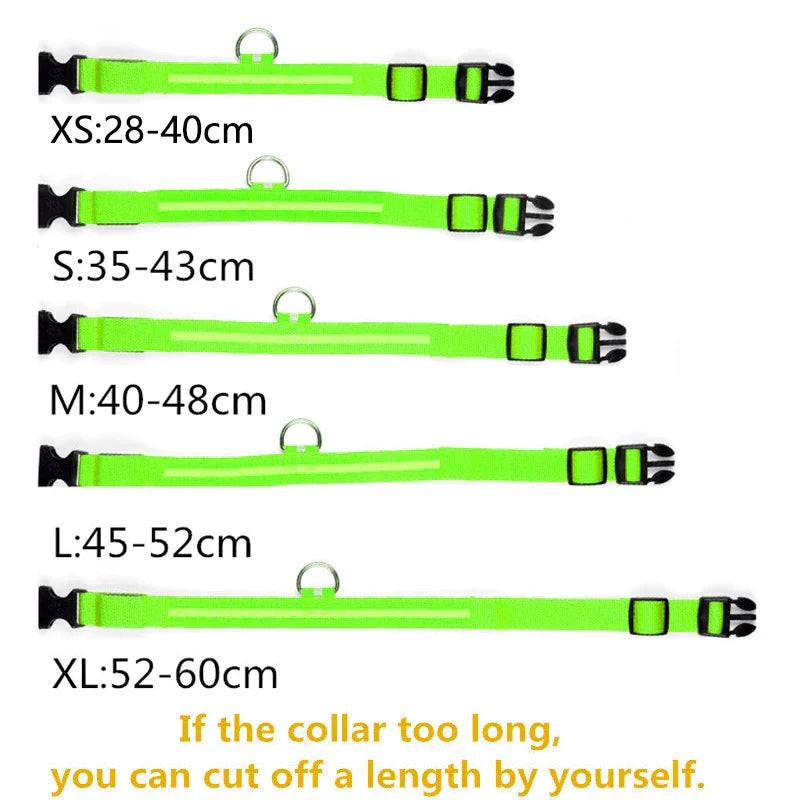 Pet Collar That Glows in The Dark