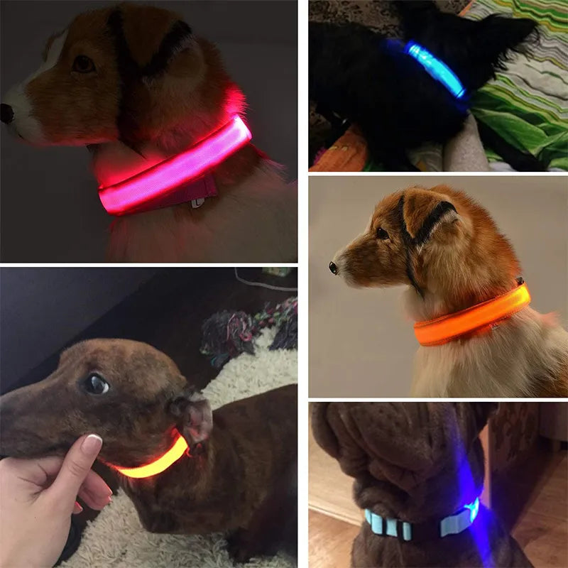 Pet Collar That Glows in The Dark