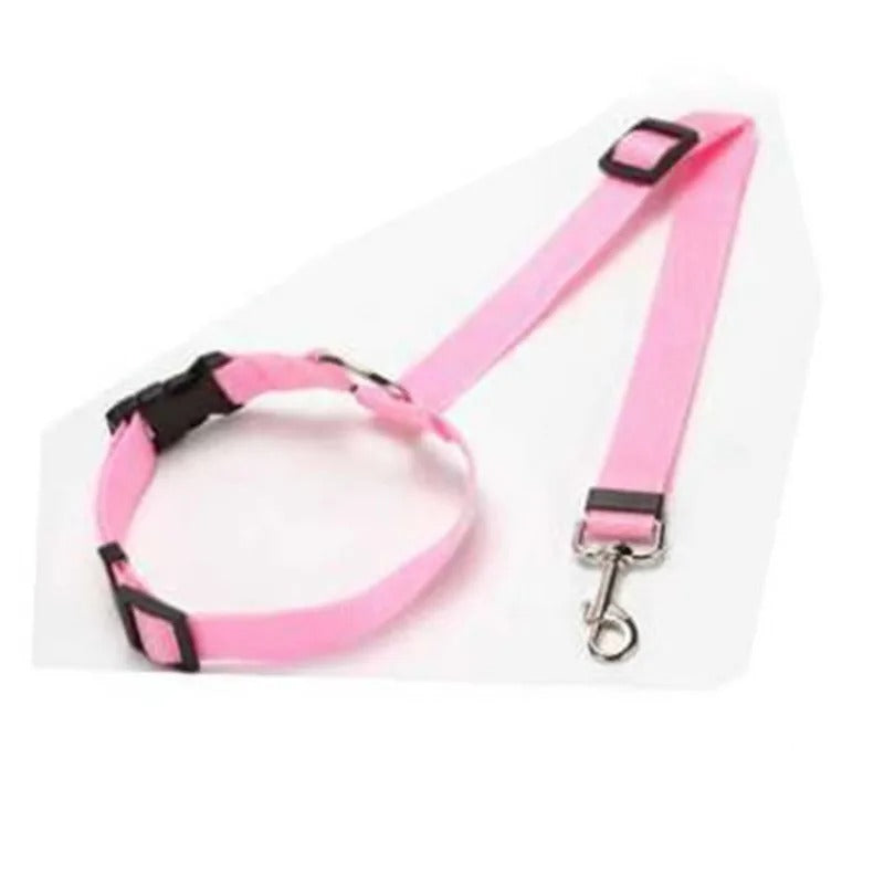 Dog Seat Belt