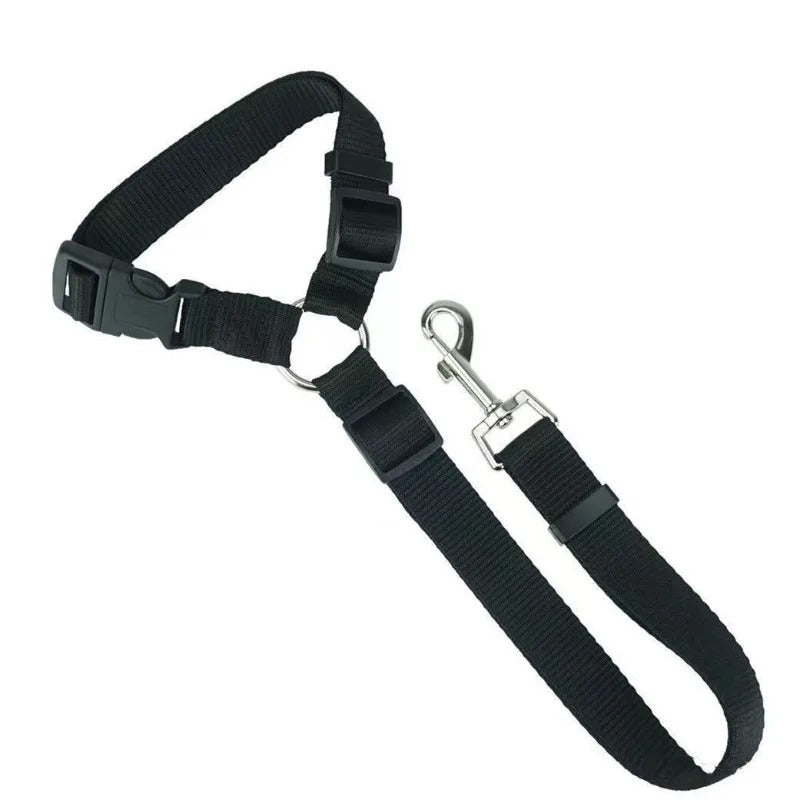 Dog Seat Belt