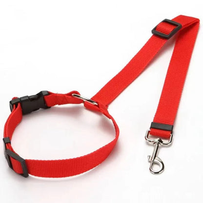 Dog Seat Belt