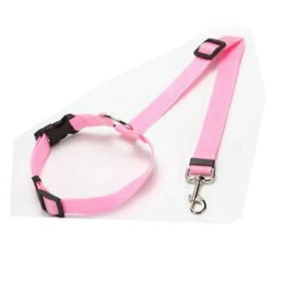 Dog Seat Belt