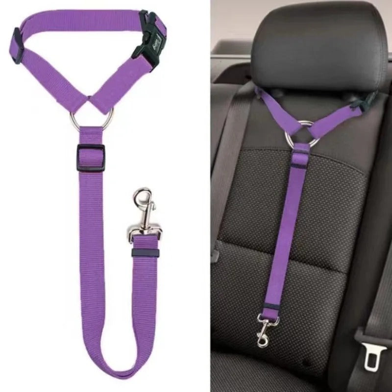 Dog Seat Belt
