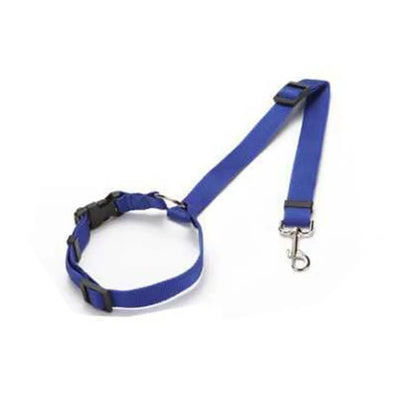 Dog Seat Belt