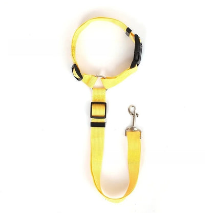 Dog Seat Belt