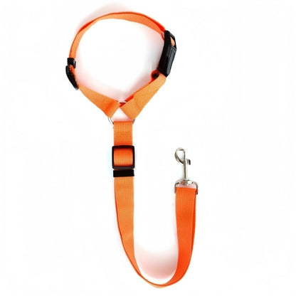Dog Seat Belt