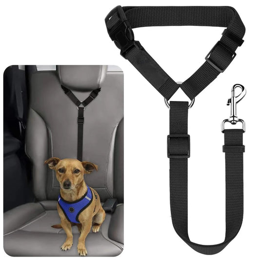 Dog Seat Belt