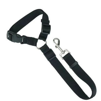 Dog Seat Belt