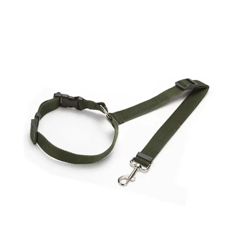 Dog Seat Belt
