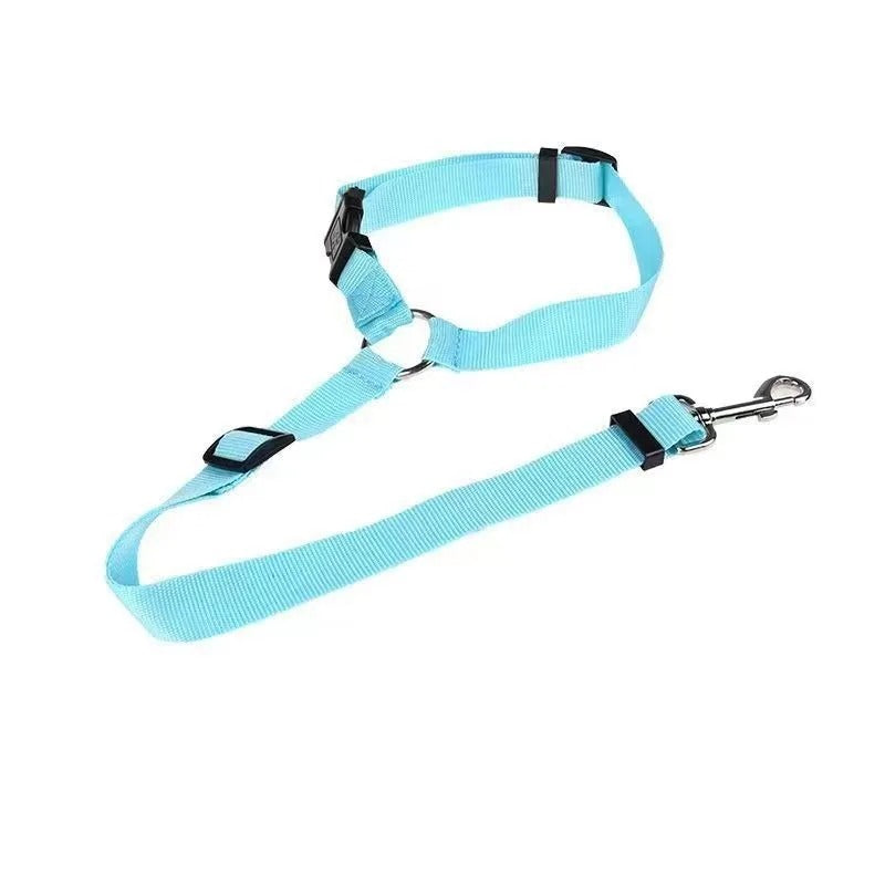 Dog Seat Belt